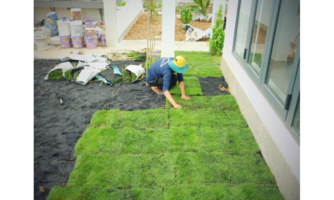 Đất công trình - Cảnh quan