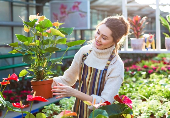 Dịch vụ chăm sóc sân vườn TRiBAT