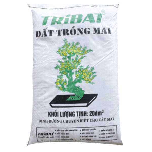 Đất trồng mai 