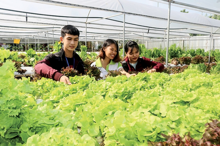 Xử lý chất thải không nguy hại